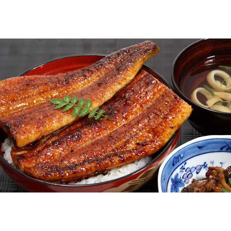 うなぎ屋かわすい 国内産うなぎ蒲焼 大サイズ 120g 5本 送料無料 鰻 うなぎ ウナギ かば焼き 蒲焼 蒲焼き ひつまぶし 国産 お取り寄せ