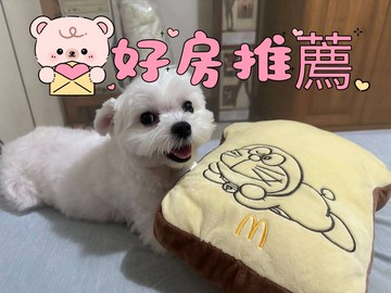 出價就談百萬裝潢室內21坪兩房兩衛平車｜台中市北屯區太和路一段