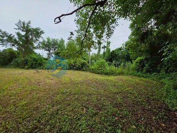 專任｜漂亮平坦的原保農地 F865｜花蓮縣秀林鄉須美基段