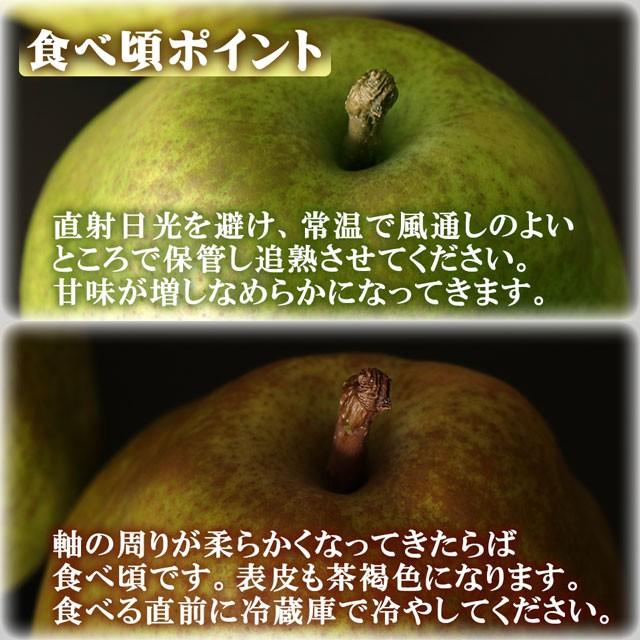 ラフランス 約3kg 特大玉 5L〜×6〜7個 送料無料 山形県 プレミアム 洋梨 洋ナシ 洋なし 梨 取り寄せ お歳暮 御歳暮 フルーツ ギフト 果物 くだもの プレゼント