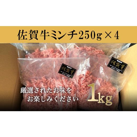 ふるさと納税 佐賀県 唐津市 厳選佐賀牛 牛ミンチ 250g×4(合計1kg) 佐賀牛100％使用！ご家庭でお好きな料理に大変身！ハンバ−グ ミート…