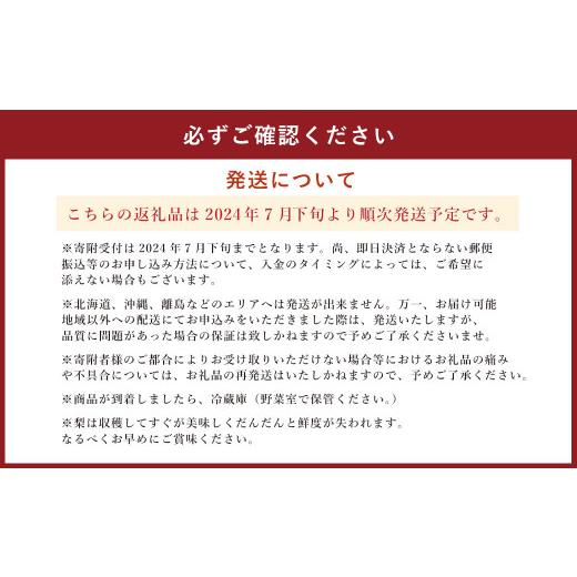 ふるさと納税 熊本県 熊本県産 幸水梨 約2キロ 5〜6玉入り 梨 なし ナシ フルーツ 果物