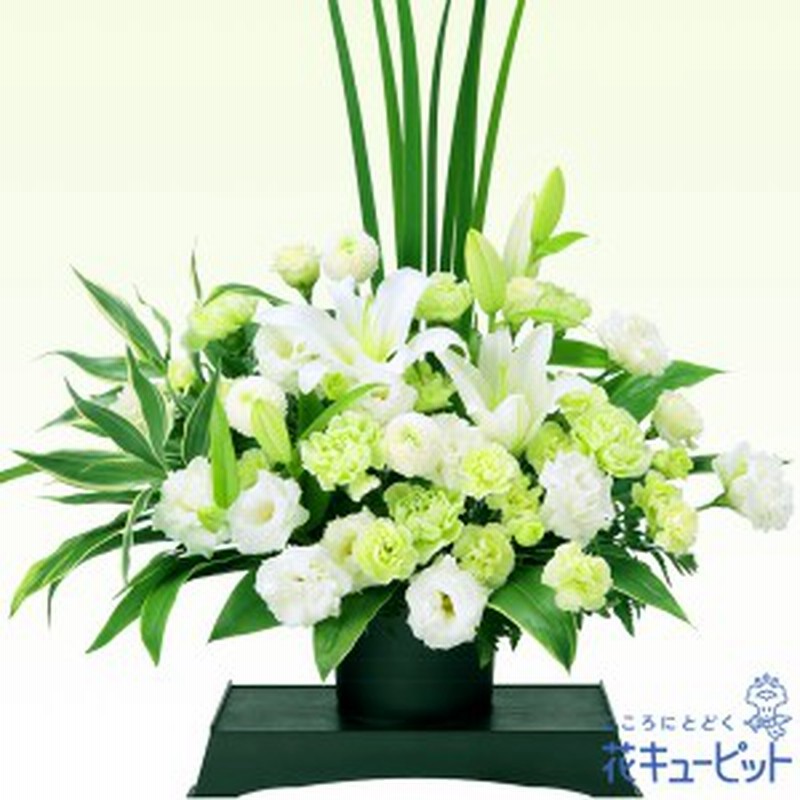 全ての お供え お悔やみの献花 仏花 供花 法要 枕花 お盆 お彼岸 四十九日 生花 翌日 花キューピットのお供えのアレンジメント rmladv.com.br 全ての お供え お悔やみの献花 仏花 供花 法要 枕花 お盆 お彼岸 四十九日 生花 翌日 花キューピットのお供えのアレンジメント rmladv.com.br