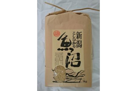 魚沼産しおざわコシヒカリ玄米5kg