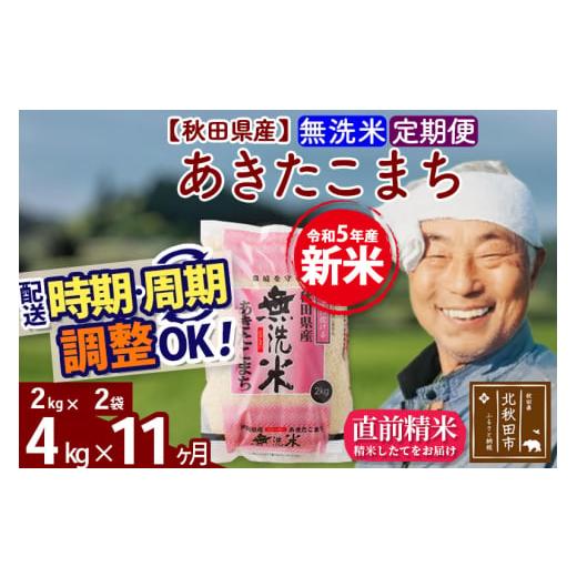 ふるさと納税 秋田県 北秋田市 《定期便11ヶ月》＜新米＞秋田県産 あきたこまち 4kg(2kg小分け袋) 令和5年産 配送時期選べる 隔月お届けOK お米 お…