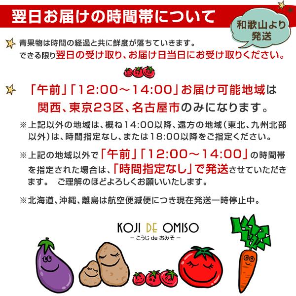 和歌山より産地直送！ おまかせ旬野菜セット 10種類以上［送料無料］※内容の指定不可 ■期日指定不可・発送翌日受取限定：お届け時間帯にご注意ください■