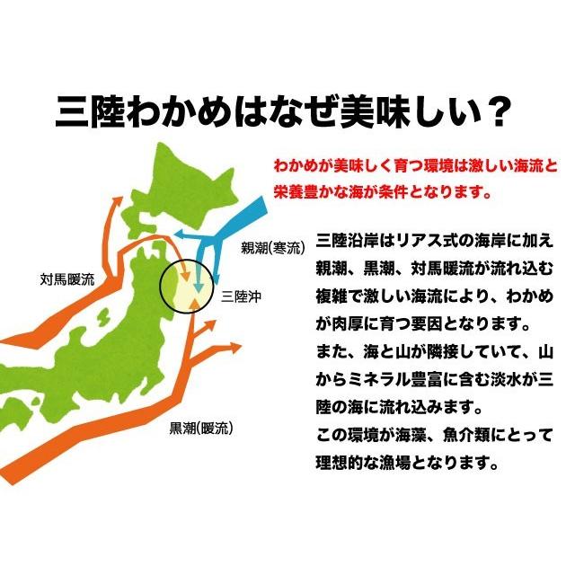 わかめ 三陸産 生わかめ  一等級 400g 国産 原藻 塩蔵わかめ 肉厚 減塩 送料無料