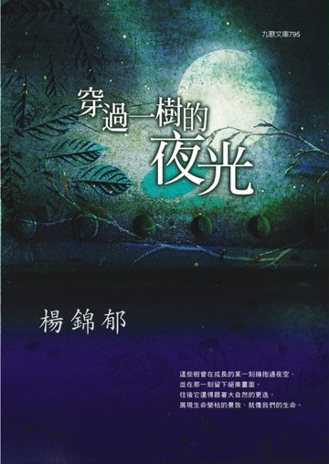穿過一樹的夜光