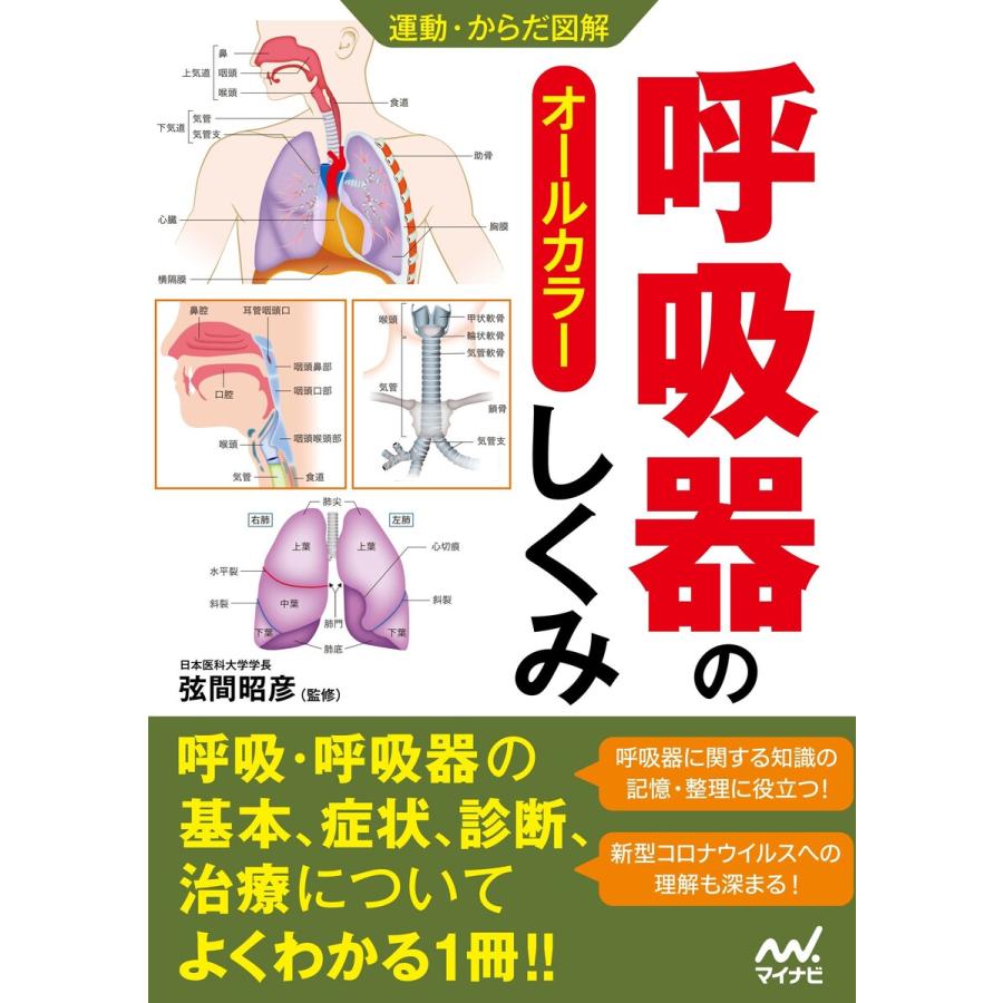 運動・からだ図解 呼吸器のしくみ 電子書籍版   編集:マイナビ出版編集部