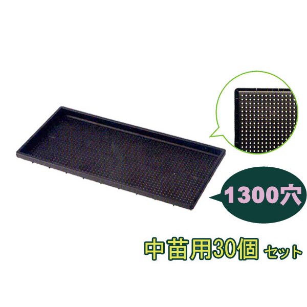 育苗箱 苗床 中苗用 水稲 1300穴 60×30×3mm 30個セット 黒 ブラック アイカ aika 日本製 代引不可 配送不可地域有  法人のみ配送 送料無料 通販 LINEポイント最大0.5%GET | LINEショッピング