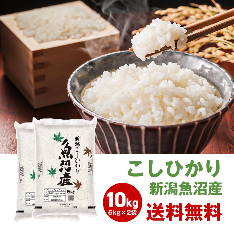 令和5年度 新米 お米 10kg コシヒカリ 米 5kg 2袋セット 新潟 魚沼産 国産 日本産 10キロ 白米