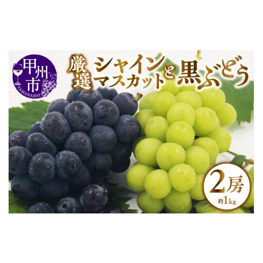 ふるさと納税 山梨県 甲州市 甲州市産 厳選 ぶどう 2種詰合せセット 2房 約1.0kg（APX）B-199