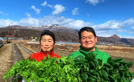 新鮮採れたて！旬の伊達野菜セット（6～8種）