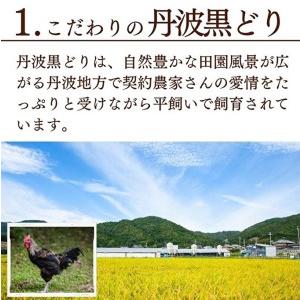 ふるさと納税 地鶏 丹波 黒どり 手羽元 4kg 鶏肉 冷凍 鍋 丹波山本 ヘルシー ボリューム 鳥 鶏おでん スープ 兵庫県加西市