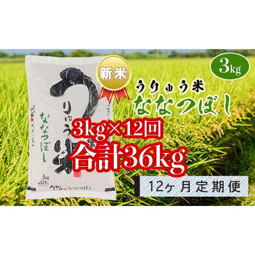 ふるさと納税 北海道 雨竜町 うりゅう米「ななつぼし」3kg×1袋 定期便！毎月1回・計12回お届け