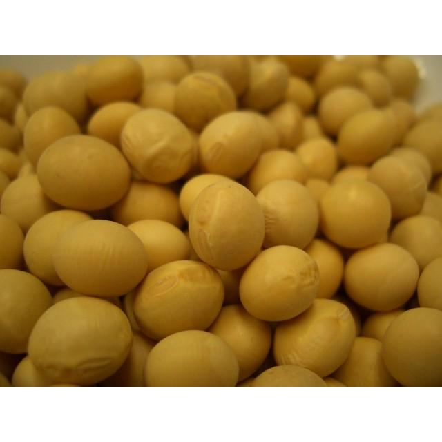 鶴の子大豆 250g 豆力 北海道産 （メール便）大豆 つるのこだいず 希少豆 国産 国内産 乾燥豆 豆類 和風食材 生豆