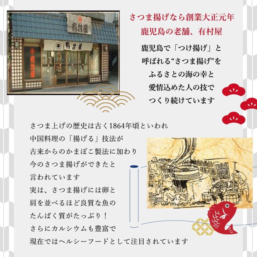 鹿児島県 さつまあげ おいしい お取り寄せ グルメ ギフト 有村屋 さつま揚げ 真空 包装 (手提げ) S-10 4P(380g)