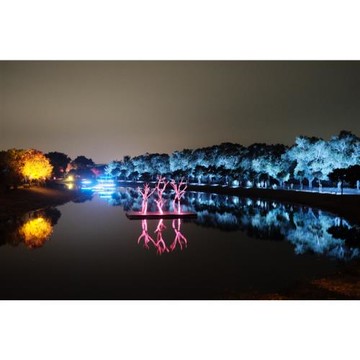 2026月津港燈節．嘉義旅遊｜阿里山國家森林遊樂區.入住五星耐斯王子含飯店晚餐二日｜台中出發_26TS210N4Q