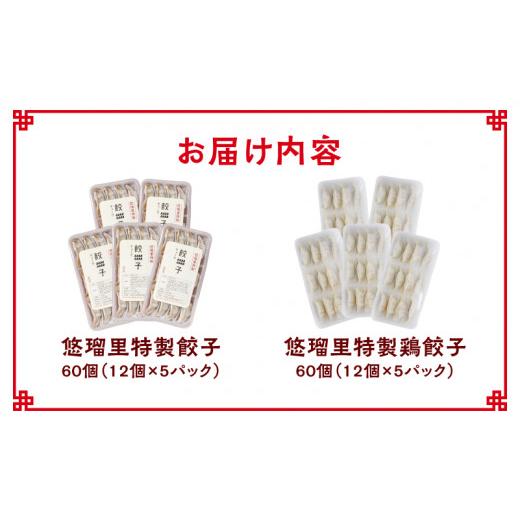 ふるさと納税 宮崎県 宮崎市 悠瑠里特製餃子60個鶏餃子60個 食べ比べセット_M293-006