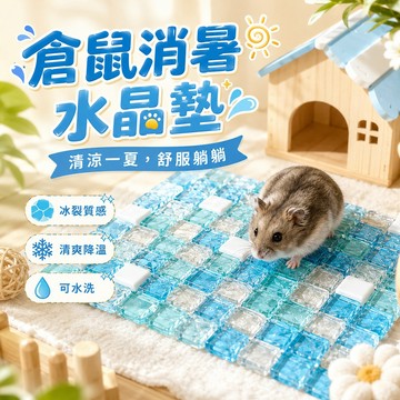 小寵降溫冰涼墊 倉鼠冰涼水晶床 小寵水晶墊 黃金鼠小寵適用 倉鼠降溫板 水晶降溫墊 天竺鼠冰墊 小寵散熱