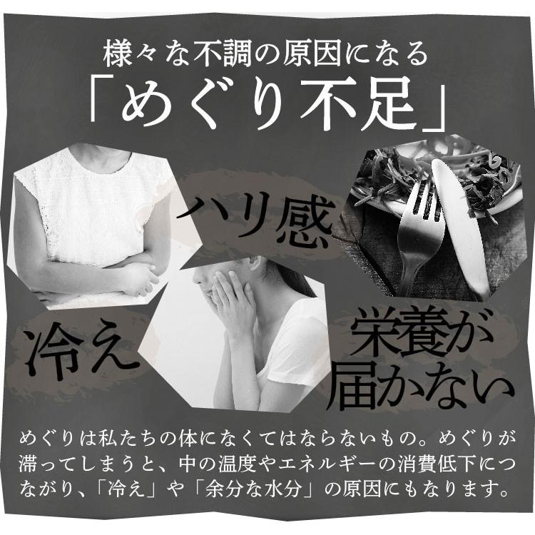 生姜 しょうが 選べる生姜パウダー 鹿児島県産100% 黒蒸し生姜 ウルトラ蒸し生姜 ウルトラ生姜