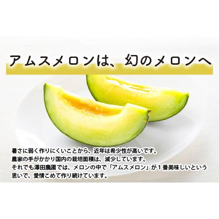 ふるさと納税 アムスメロン（1.3kg以上 2玉入) とろけるような果肉が絶品！／ あわら 期間限定 果物 フルーツ 産地直送 青肉 人気.. 福井県あわら市