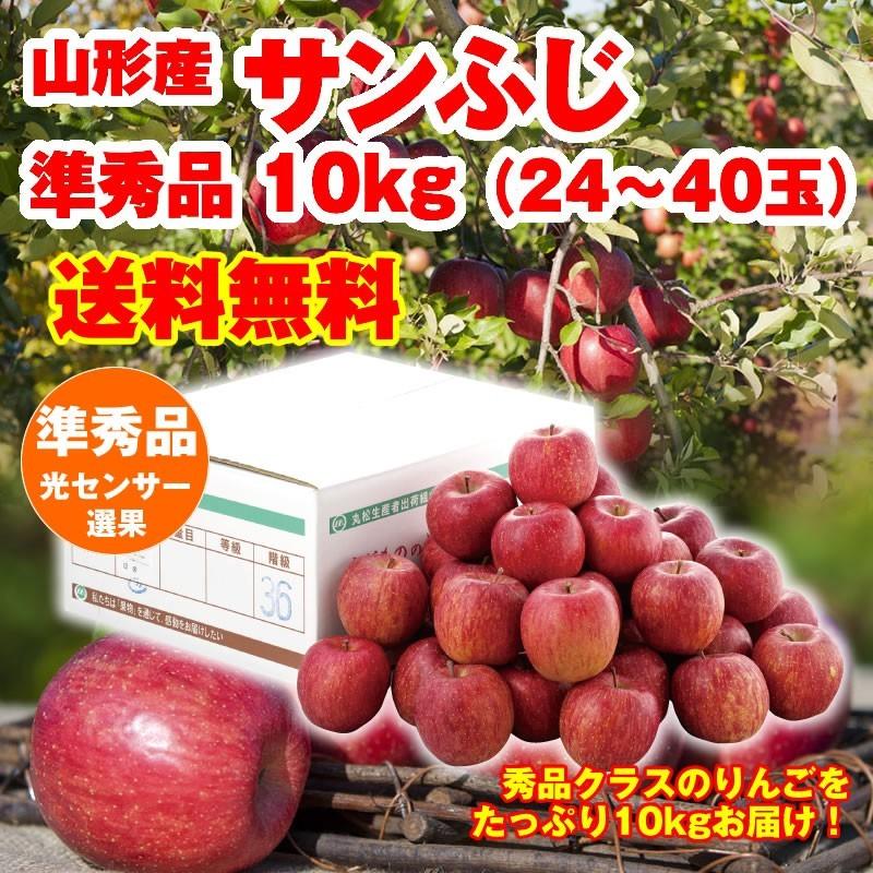 りんご 送料無料 山形県産 サンふじ 10kg（24-40玉）