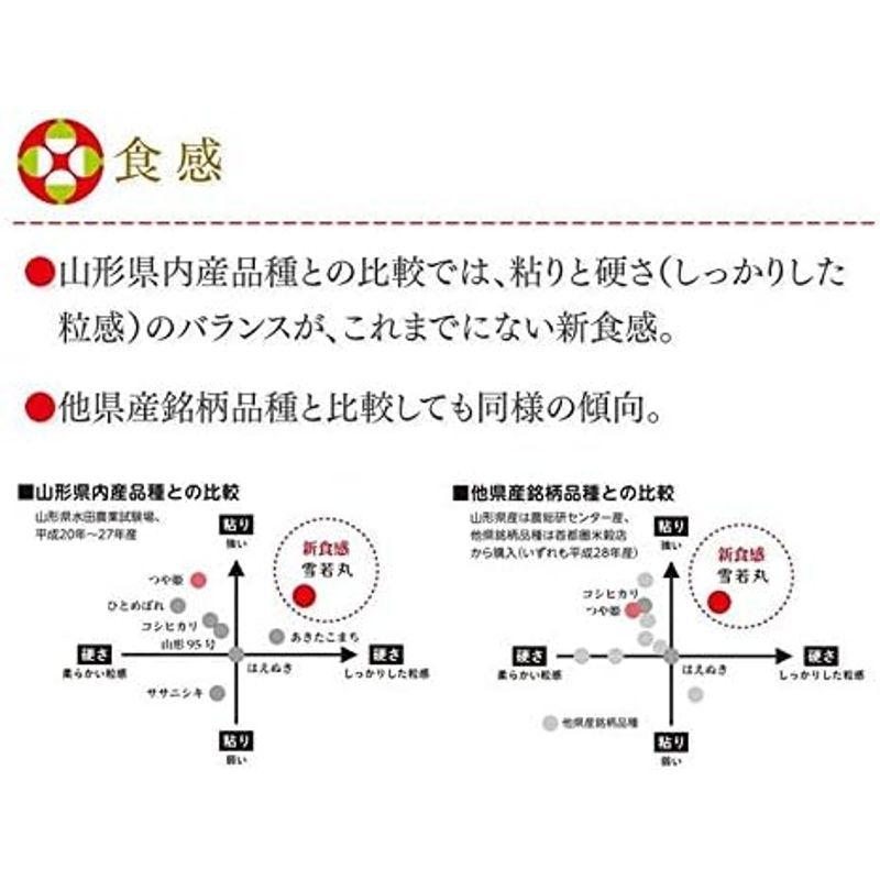 精米 山形県産 雪若丸 10kg（5kg×2袋） 令和4年産 ryy1004