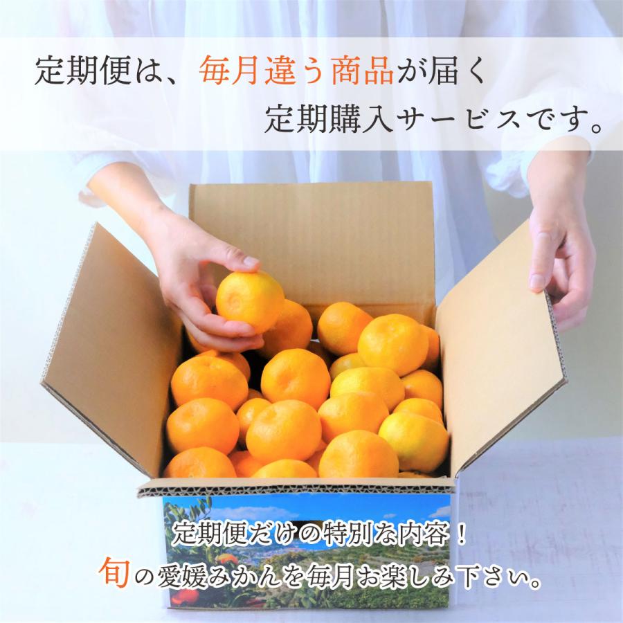 みかん かんきつ 定期便 全12回 訳あり ご家庭用 愛媛産  高級 希少 まどんな 甘平 せとか 頒布会