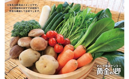 黄金の郷　季節のお野菜お楽しみBセット