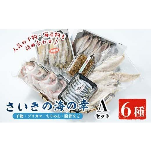 ふるさと納税 大分県 佐伯市 さいきの海の幸Aセット (6種)