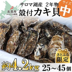 サロマ湖産殻付き2年牡蠣　中　約4.2kg(約25個～45個)