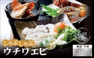 ウチワエビ しゃぶしゃぶA「刺身・半身セット」 計3.6kg（約600g×6回） 平戸市    ひばり [KAA232]