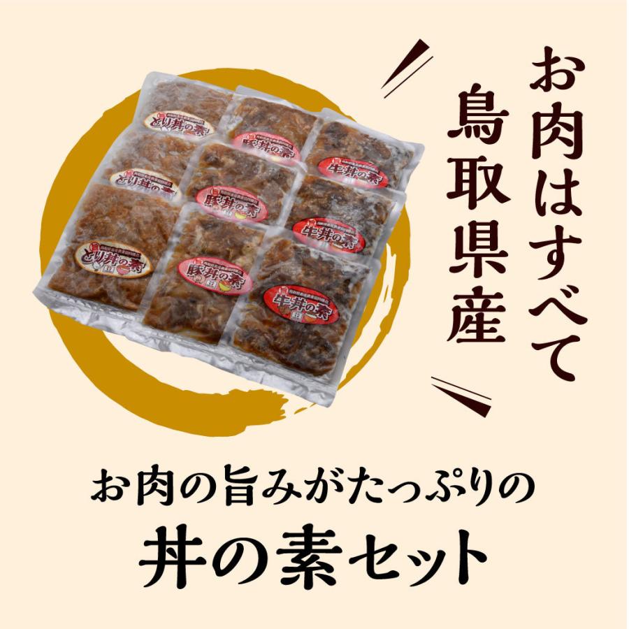 牛丼 豚丼 とり丼 丼の素 セット 9個入 牛肉 豚肉 鶏肉 鳥取牛 惣菜 国産牛 鳥取県産 ギフト 送料無料（北海道・沖縄を除く）