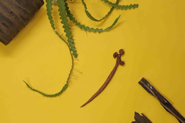 手工原創新中式復古風漢服古樸奇石頭異形巴花梨木頭木質發簪子