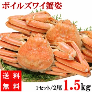 ズワイガニ姿 ボイルズワイガニ姿 2尾 1.5kg 送料無料 ずわい蟹 ズワイガニ 姿 カニ姿 蟹姿 殻付き 蟹 蟹 カニ かに 丸