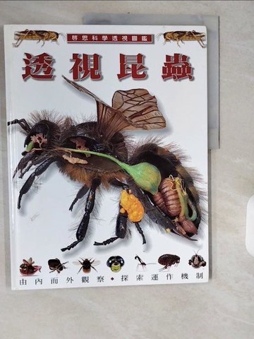 【書寶二手書T1／兒童文學_ZIK】透視昆蟲_鄭淑文