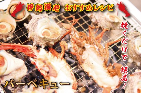 生冷凍 伊勢海老 2尾 1kg 冷凍 国産 伊勢エビ イセエビ いせえび 海老 エビ えび おせち 刺身 焼き物 味噌汁_AP031