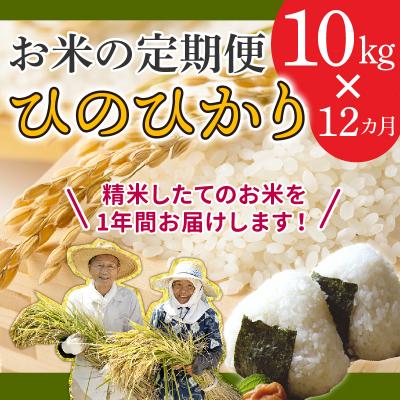 ふるさと納税 南九州市 鹿児島県産米ひのひかり10kg定期便