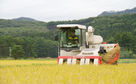 新米 雫石町産 あきたこまち 玄米 約10kg  ／ 米