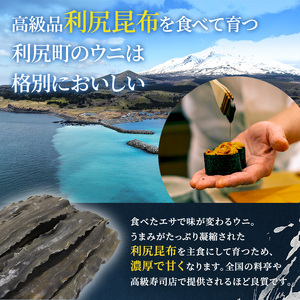 北海道 利尻 島産生うに塩水パック80g×2パック（蝦夷 バフンウニ）［2024年6月発送開始先行受付] ウニ 塩水ウニ