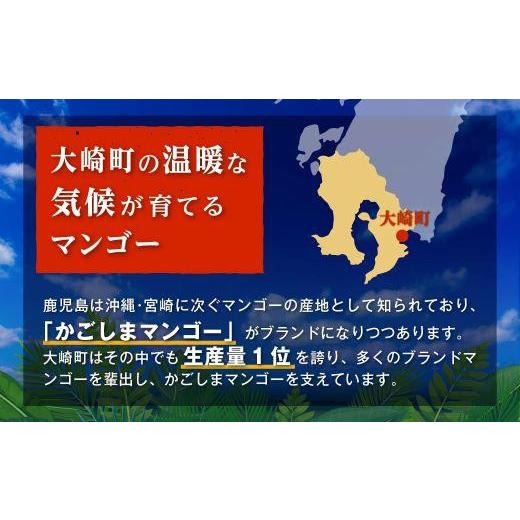 ふるさと納税 鹿児島県 大崎町 大崎完熟マンゴー「郷の恵（さとのめぐみ）」（特A）