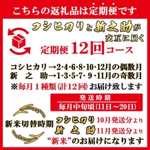 南魚沼産コシヒカリ・新之助5kg×12回