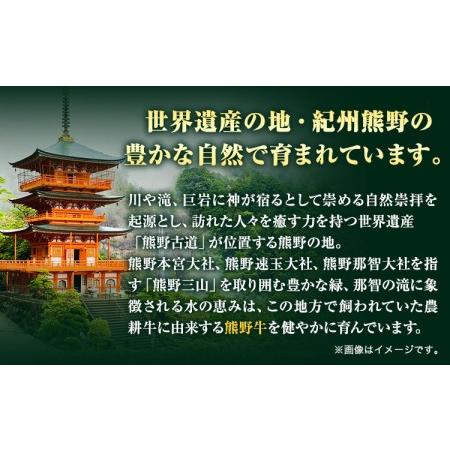 ふるさと納税 熊野牛 ロースステーキ 200g×2枚  厳選館《90日以内に順次出荷(土日祝除く)》 和歌山県 日高川.. 和歌山県日高川町