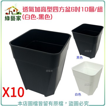 【綠藝家】透氣加高型四方盆6吋10個/組(黑色.白色共2色可選)