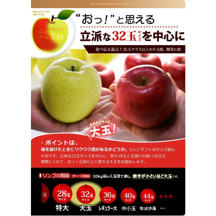 5プレミアム サンふじ ＆ 王林プレミアム13 セット (約2.8kg) 青森産 サンフジ サン富士 さんふじ 王林 りんご リンゴ 林檎 青りんご apple 食品 フルーツ 果物