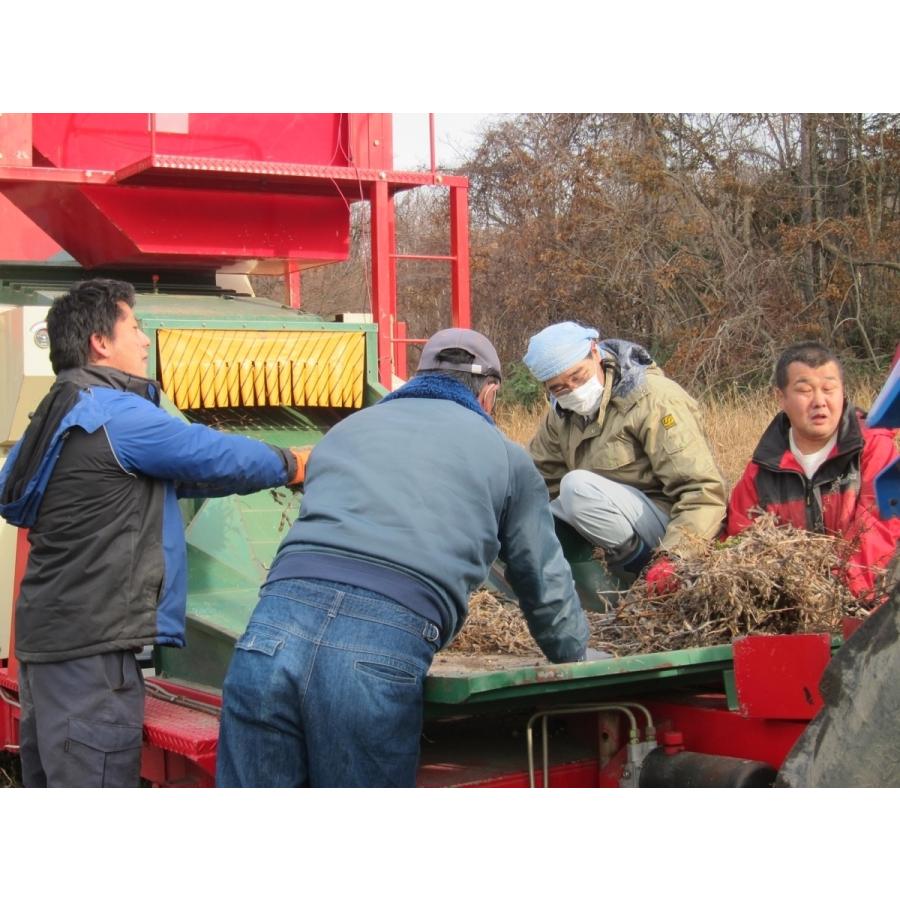 北海道産｜有機黒豆　24kg（6ｋｇ袋×4）　令和4年産　　＃無農薬　オーガニック