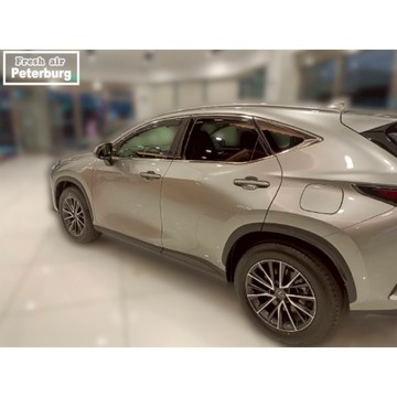 NX第二代晴雨窗 LEXUS NX200/NX300/NX350/ NX4 2022年起專用【短截款】比德堡崁入式晴雨窗