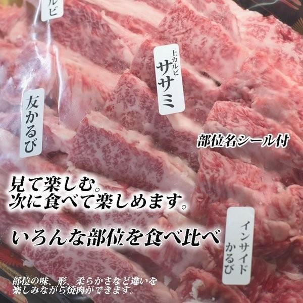 敬老の日 牛肉  カルビ 500g 和牛三昧 焼肉 訳あり焼肉セット 業務用 ステーキ 焼き肉 送料無料 バーベキュー BBQ やきにく はらみ ブロック カルビ ギフト