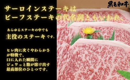 ステーキ 牛肉 計500g 250g×2枚 冷蔵 国産 黒毛和牛 阿波牛 サーロイン ロース（ 大人気ステーキ 人気ステーキ 国産ステーキ 徳島県産ステーキ 徳島県ステーキ ギフトステーキ 贈答用ステーキ お中元ステーキ 本格ステーキ ステーキ ）